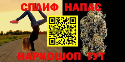 стаф Бийск