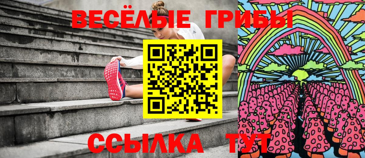 Псилоцибиновые грибы прущие грибы Гулькевичи
