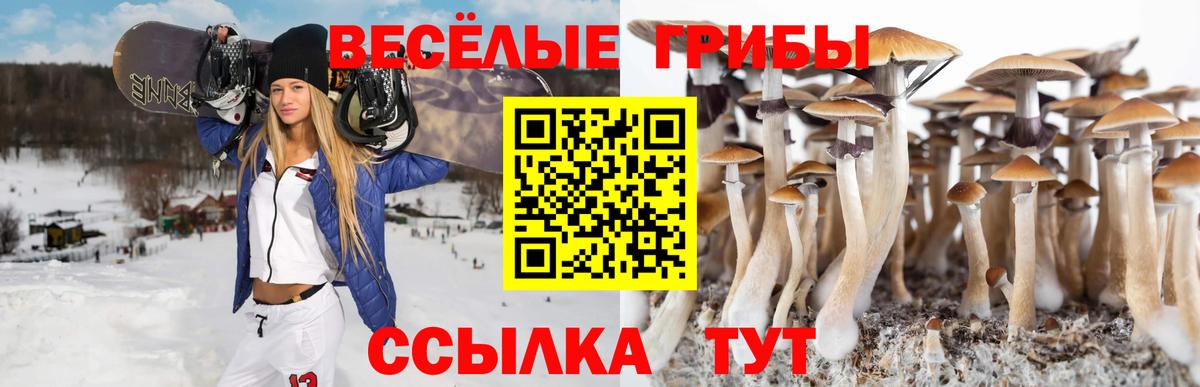 Псилоцибиновые грибы Cubensis  Псилоцибиновые грибы Psilocybe  Гулькевичи  Вход с VPN 